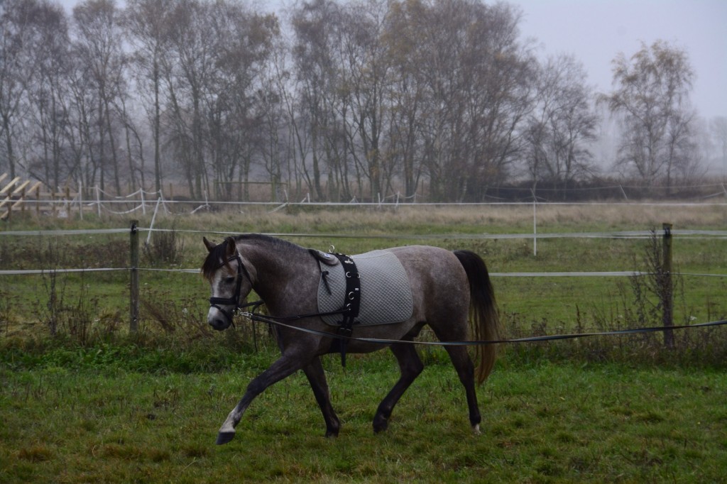 Exercise on a Saturday morning